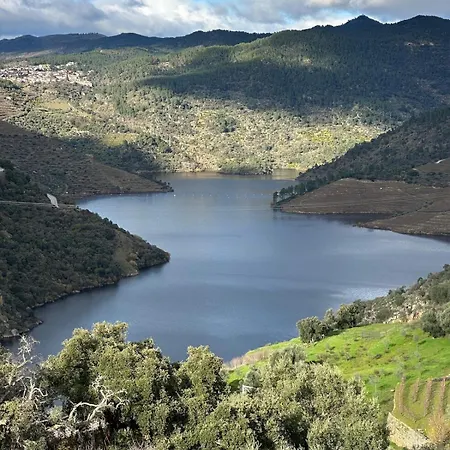 Casa Do Fiolhal In Douro Valley Castanheiro