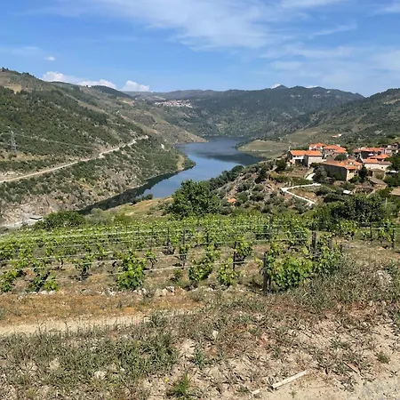 Casa Do Fiolhal In Douro Valley * Castanheiro