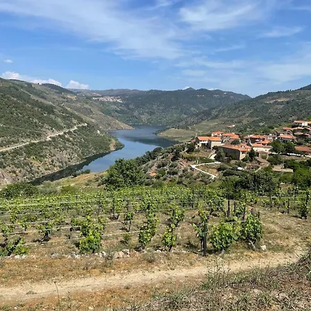 Casa Do Fiolhal In Douro Valley
